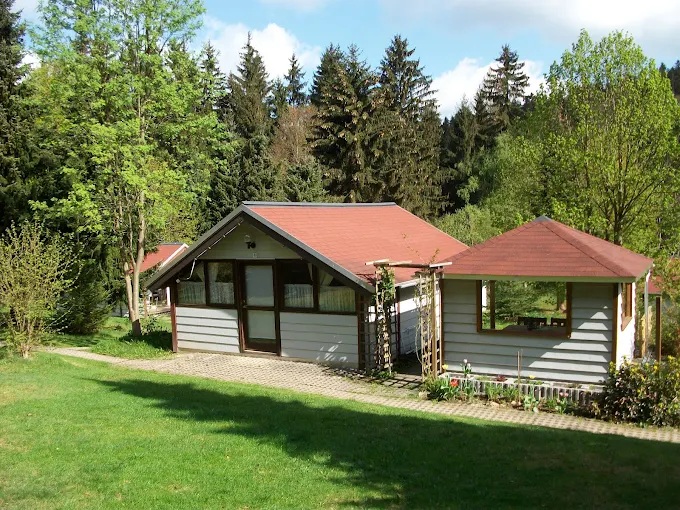 Lamas auf der Lama-Ranch
