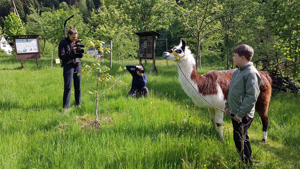 Lama-Ranch im Schwarzwassertal
