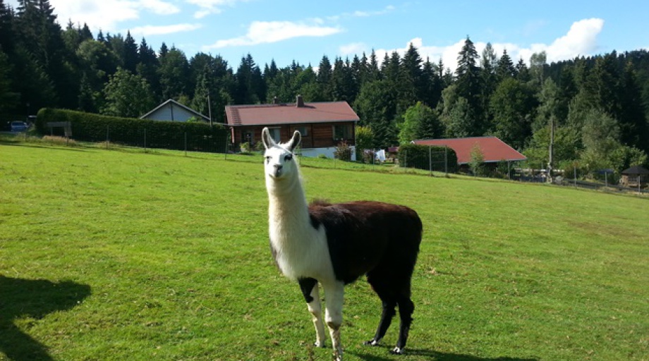 Schwarzwassertal