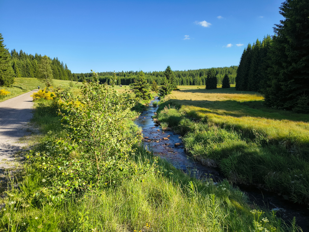 Blick auf das Feriendorf Schwarzwassertal